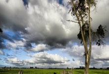 英格兰足总杯｜点球大战淘汰布赖顿 森林时隔34年再闯4强.