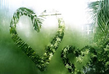 多多28官网：篮球——WCBA季后赛：四川蜀道远达胜黑龙江上东.