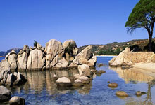 多多28官网：篮球——WCBA季后赛：四川蜀道远达胜黑龙江上东.